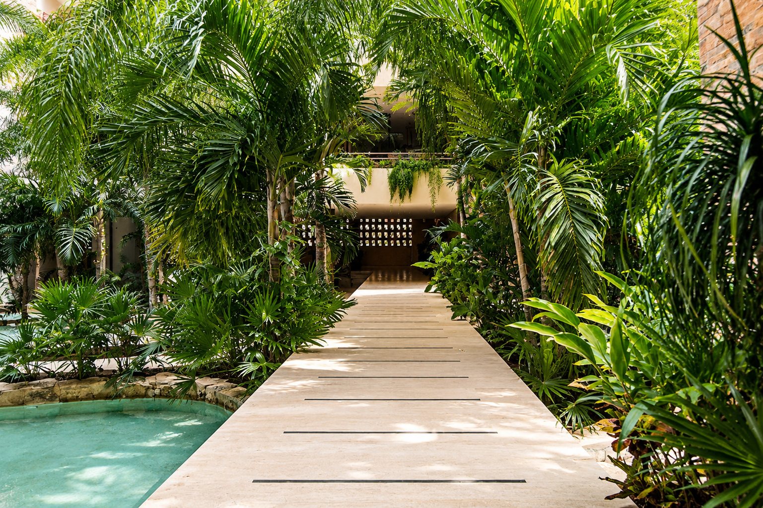 Alberca y jardín tropical