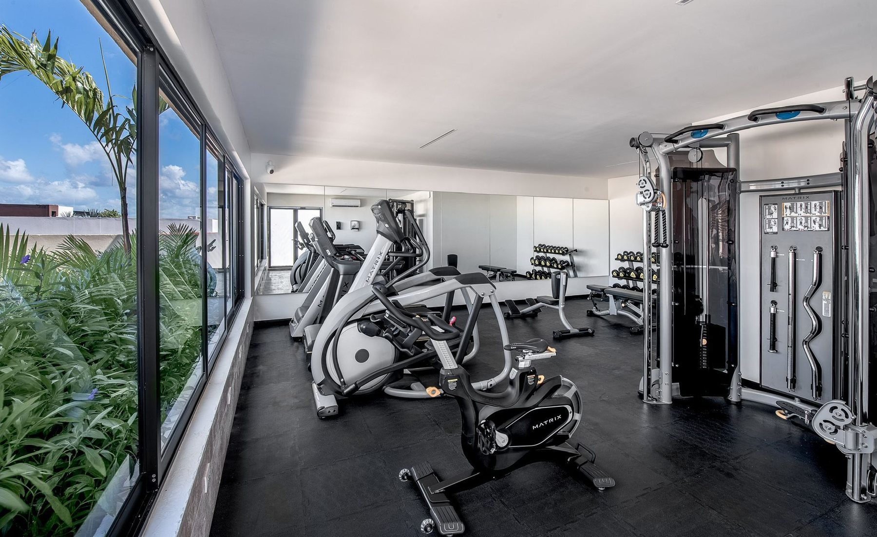 Gimnasio